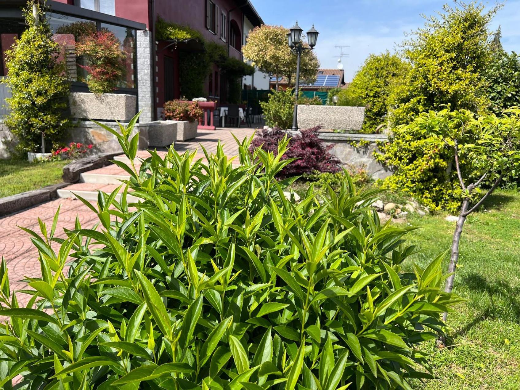 Paruzzaro 维拉罗茜贝布旅馆酒店 外观 照片